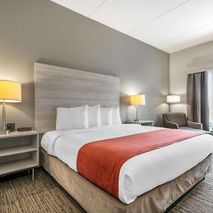 King Room Disability Access